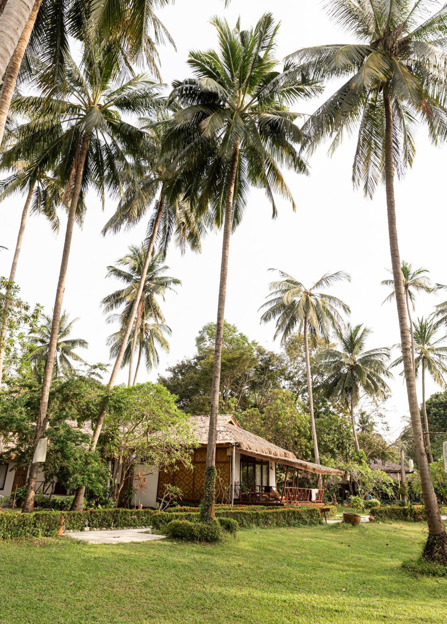 Lipa 4* Lipa Noi