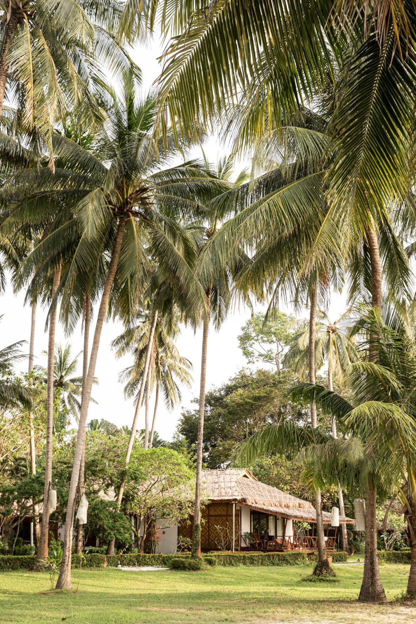 Resort Lipa